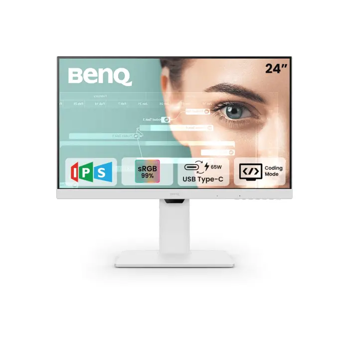 BenQ 24-Inch Monitor.